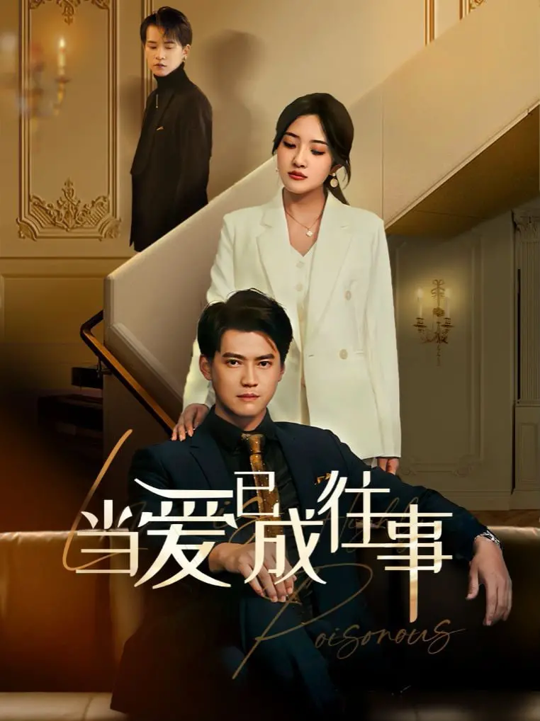 《新：当爱已成往事》：重温经典爱情，感受岁月沉淀后的别样情怀！